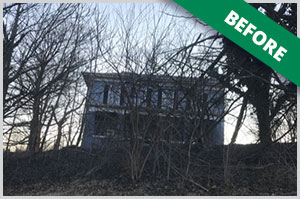 Tree Specialist Dayton