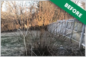 Tree Specialist Dayton Ohio