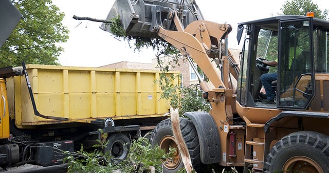 Land Clearing Jacksonville FL - Site Clearing and Forestry Mulching