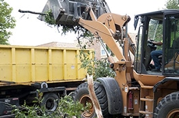 Land Clearing Company