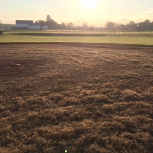 Athletic Field Design: Before
