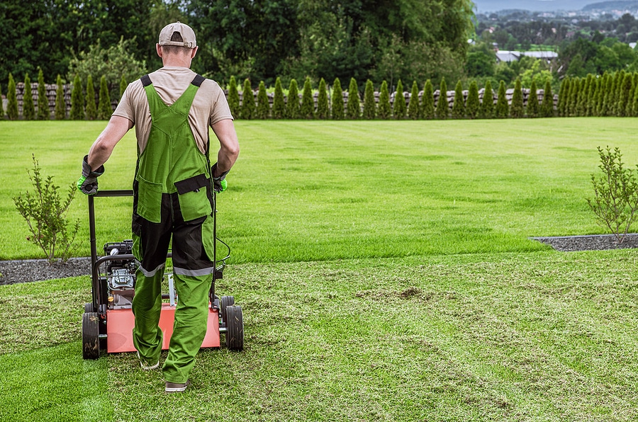 Why You Should Schedule an Aeration Service