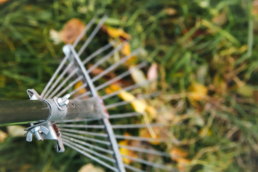 Should You Bag Your Leaves or Leave Them on the Lawn?