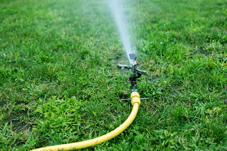 The Dos and Don'ts of Watering Your Lawn Lawn Plus LLC