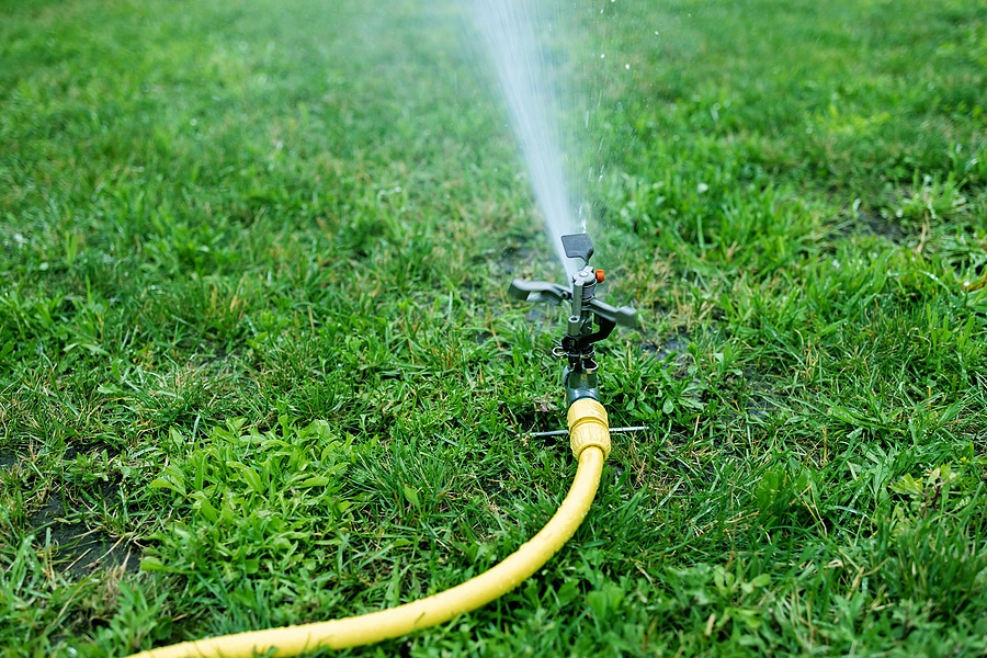 The Dos and Don'ts of Watering Your Lawn