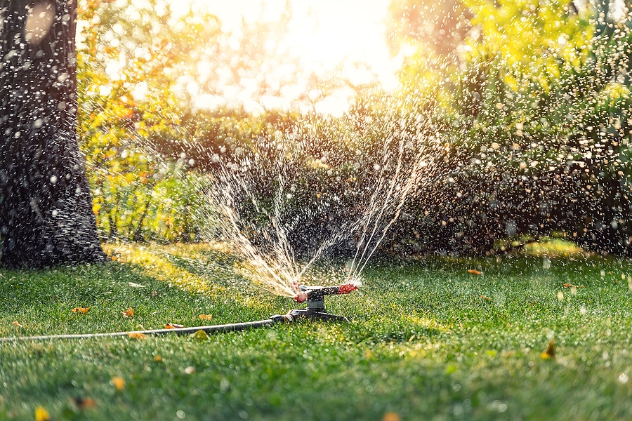 5 Spring Tips for a Green Lawn