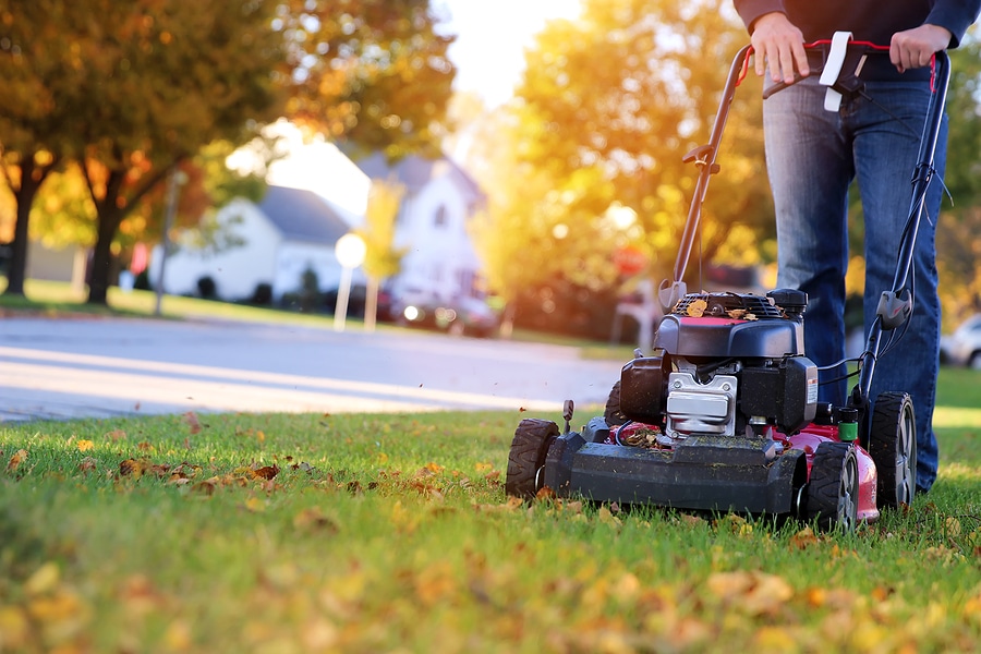 3 Tips for a Lush and Healthy Yard this Fall