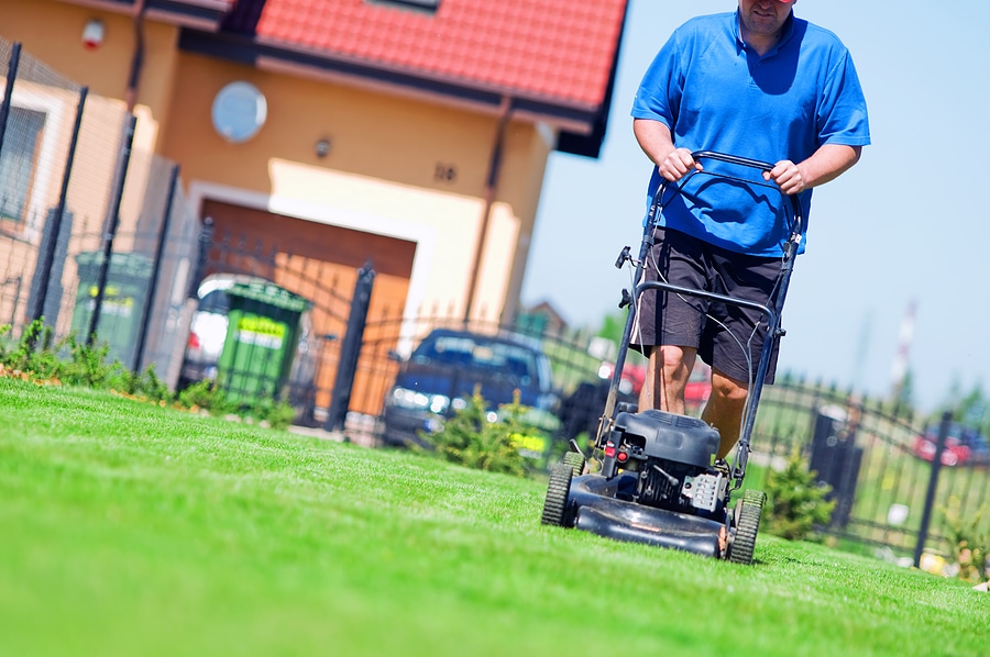 Spring Lawn Care Mistakes That Can Slow Growth