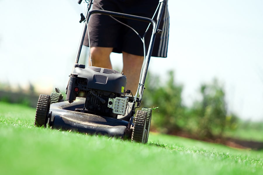 4 Common Questions for Lawn Care Providers