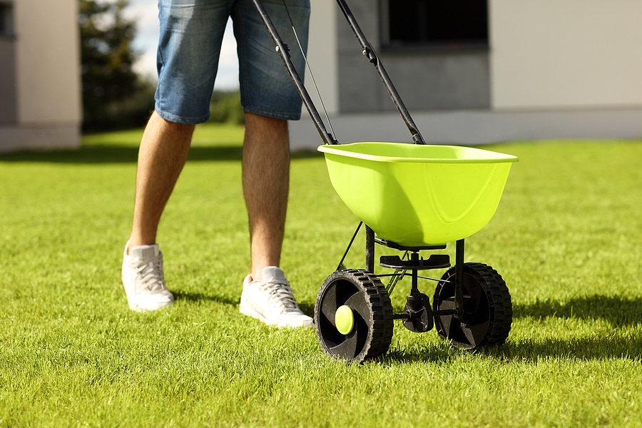How to Choose the Right Grass Seed for Your Ohio Lawn