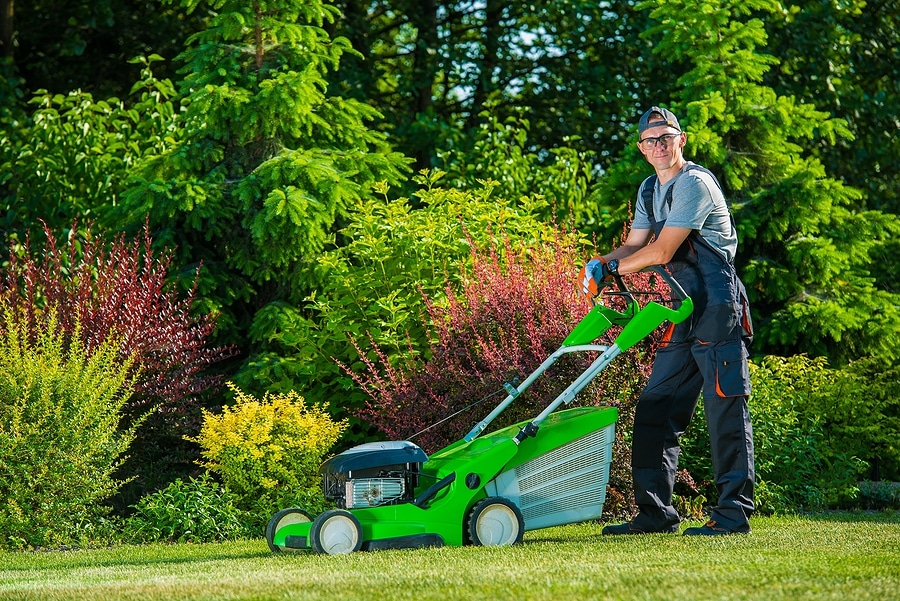 3 Signs You Need a New Lawn Care Provider