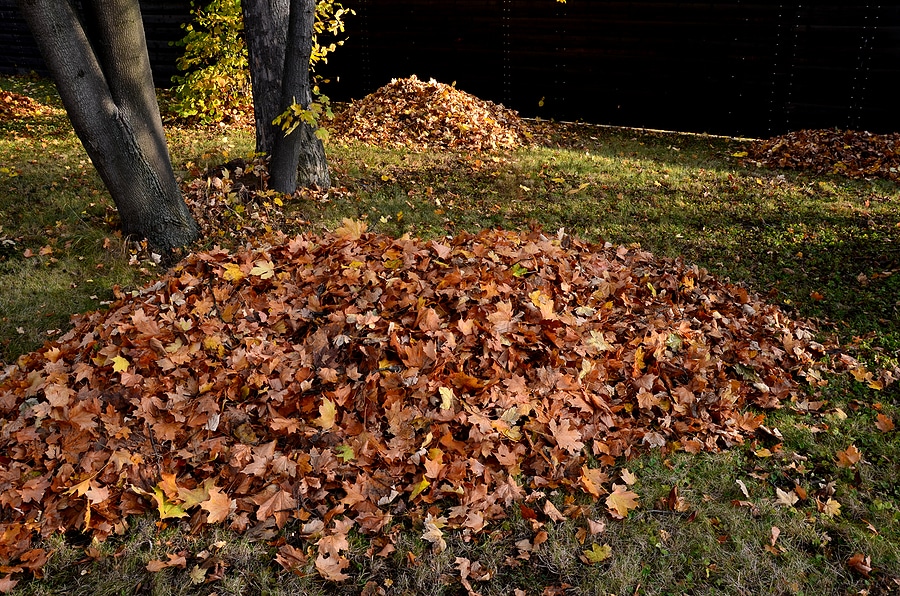 How to Mulch Leaves with a Lawn Mower