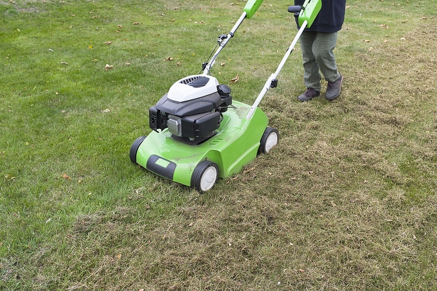 Prepare for Fall with These Lawn Care Tips