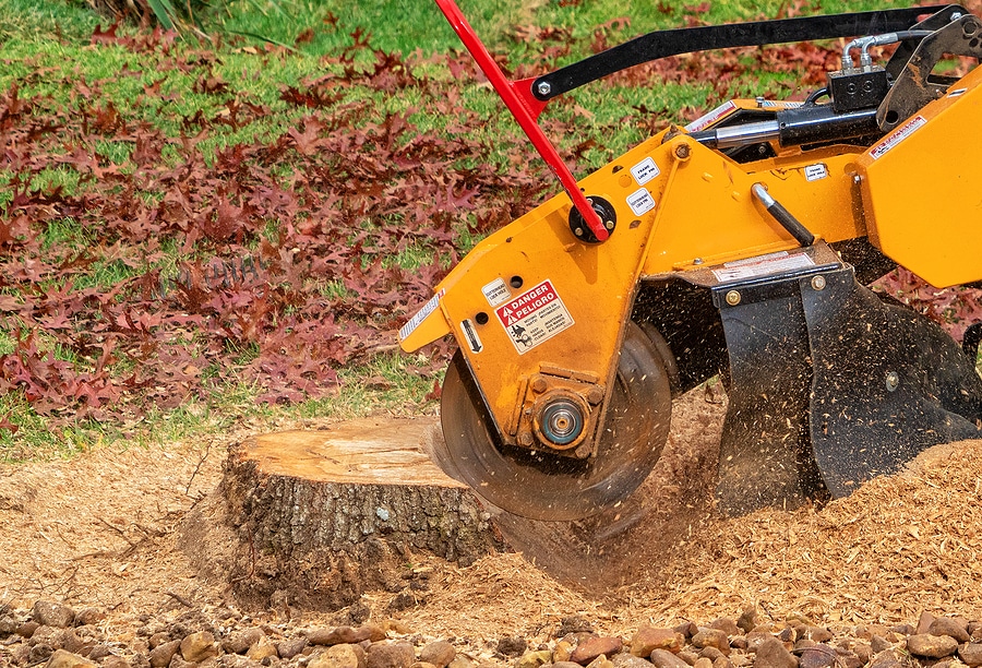 Benefits of Professional Stump Grinding and Removal