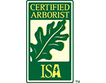 Certified Arborist