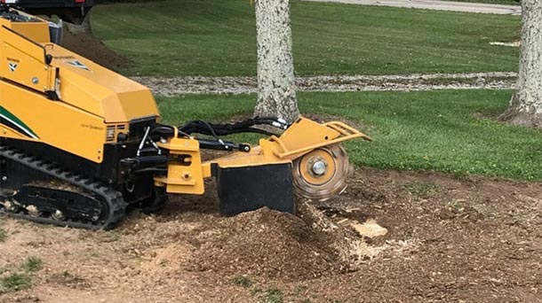 Stump Grinding