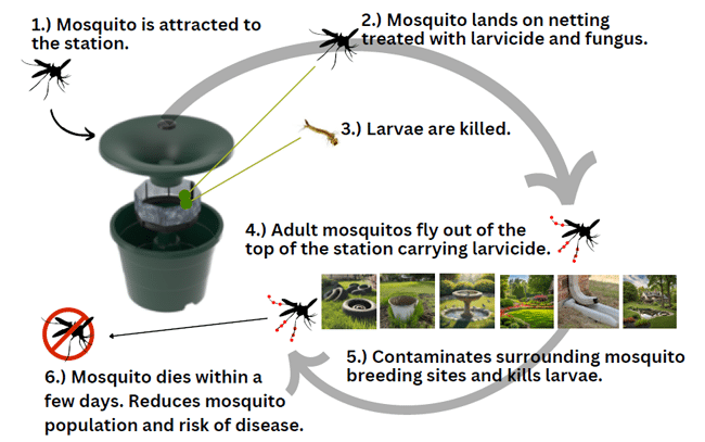 Professional Lawn Pest Care Company in Dayton, OH.